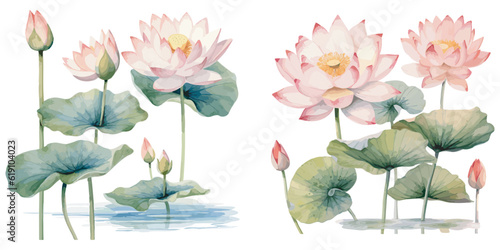 watercolor lotus plant clipart for graphic resources