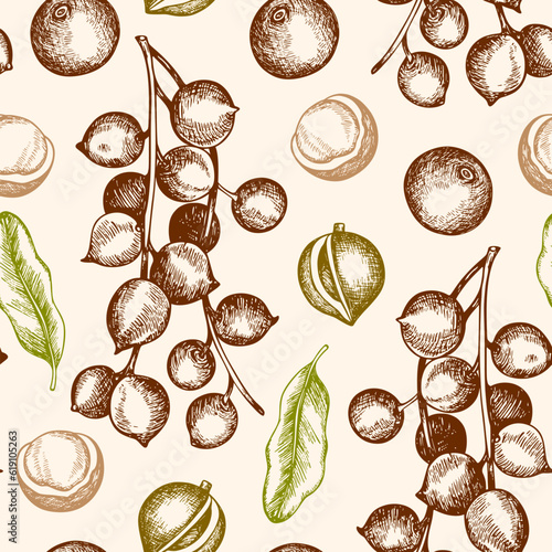 Vintage seamless pattern with macadamia nuts.