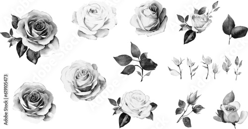 Hand-drawn vector black and white rose clipart with gold line art, blossom at retro engraving style. Bouquet roses for invitations, cards, wall art, card decoration, logo and other. Eps clipart