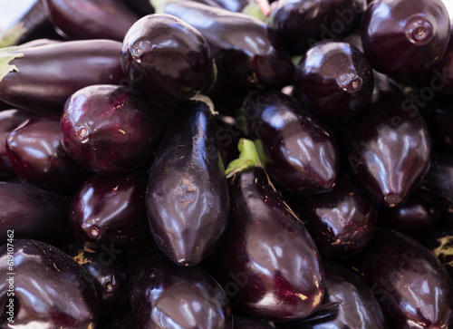 Photography Fresh eggplant on market counter