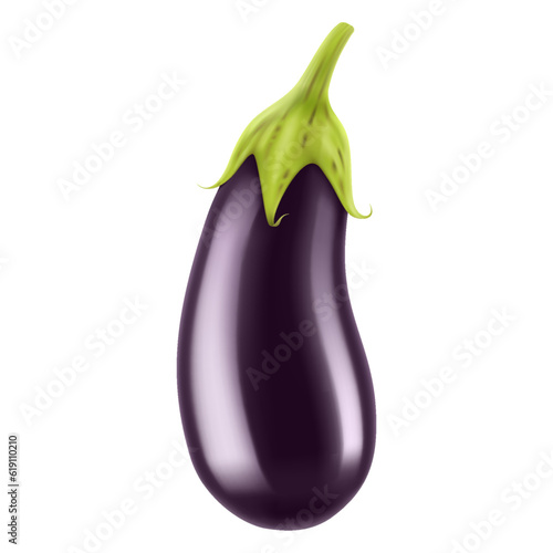 Ripe eggplant. Eggplant isolated on white background close-up. Fresh eggplant from garden. Vegetarian food. Realistic 3d vector illustration.