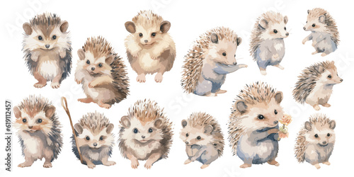 watercolor baby hedgehog clipart for graphic resources © Dgillustration12u