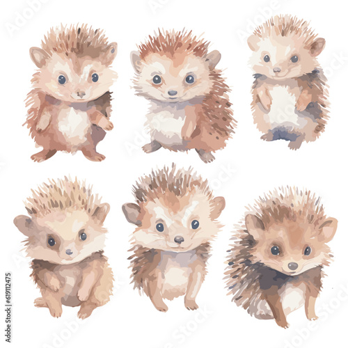 watercolor baby hedgehog clipart for graphic resources