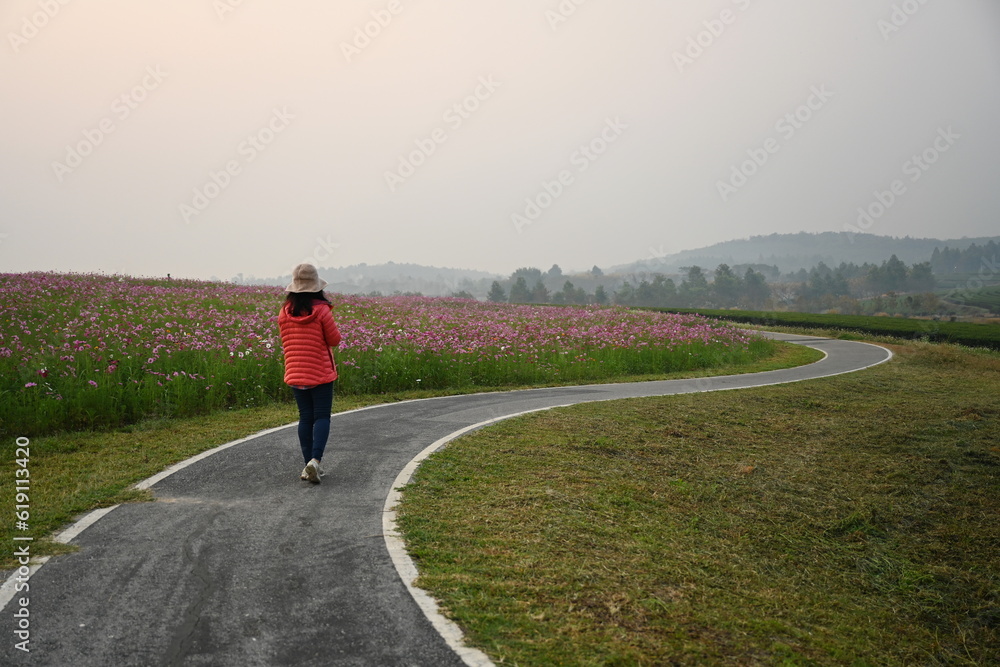 Fototapeta premium A woman walks on a winding road through a garden of pink cosmos flowers. Tourists wearing cream hats and original red down jackets admire the beauty of the flower garden on a slightly foggy morning.