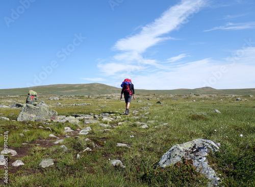 Hiking in the Hardangervidda in Norway. A lonely wanderer and a wild wide country photo