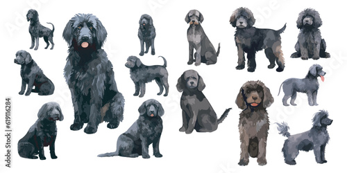watercolor Black Labradoodle dog clipart for graphic resources
