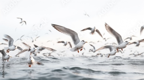 A flock of seagulls flying over the ocean. Generative AI image.