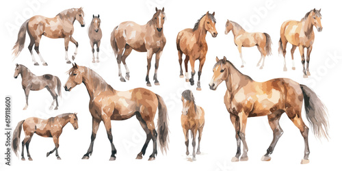Fotografia watercolor brown horse clipart for graphic resources