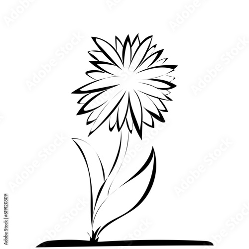 Blume