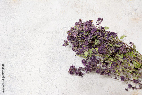 dried oregano plant isolated on gray background, copy space 