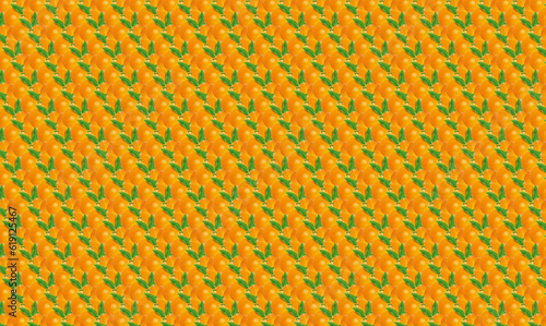 orange fruit pattern for background or textures