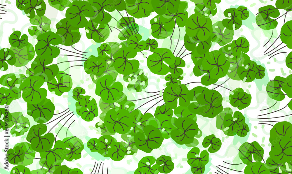 Obraz premium centella asiatica pattern background or texture