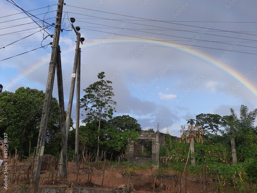 Obraz premium rainbow over the vineyard