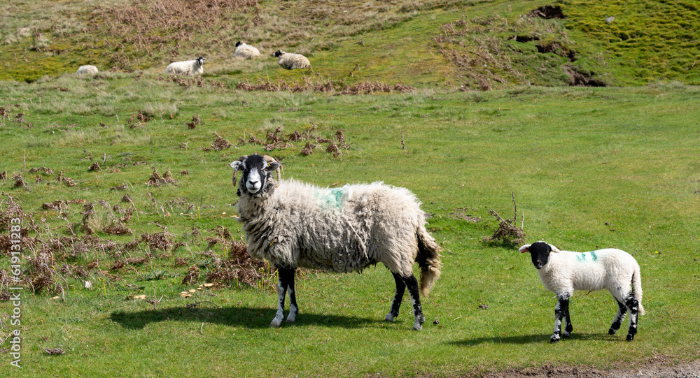 Countryside. and Farmlands in the UK Countryside. and Farmlands in the UK