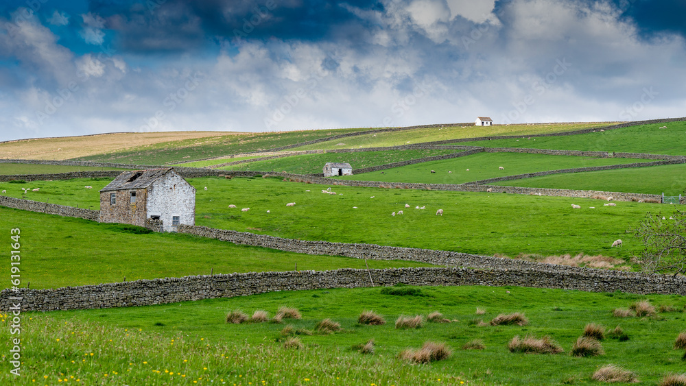 UK Farmland and Countryside - North Yorkshire Moors UK Farmland and Countryside - North Yorkshire Moors
