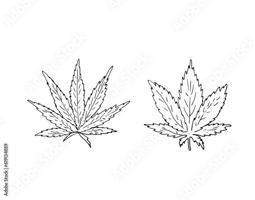Vector Cannabis Leaves Set. Indica and Sativa leave. Cannabis herbal leaf icon. Vector design illustration