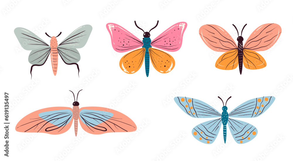 Butterfly insect moth cute isolated set concept. Vector design graphic illustration