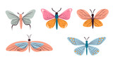 Butterfly insect moth cute isolated set concept. Vector design graphic illustration