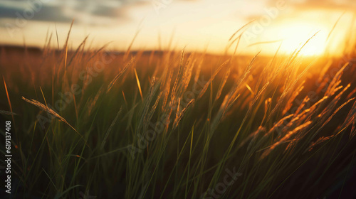 Enchanting Sunset Meadow. Generative AI