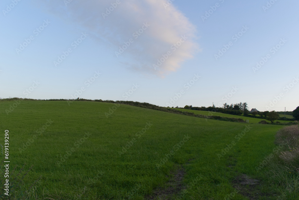 Field and blue sky in Ireland