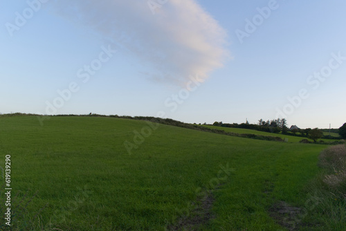 Field and blue sky in Ireland