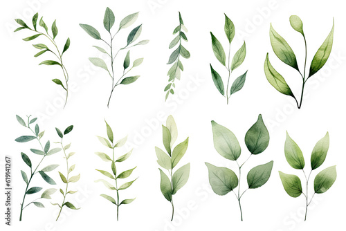 Fototapeta Naklejka Na Ścianę i Meble -  Watercolor of Tropical spring floral green leaves and flowers elements isolated on transparent png background, bouquets greeting or wedding card decoration, with Generative Ai.