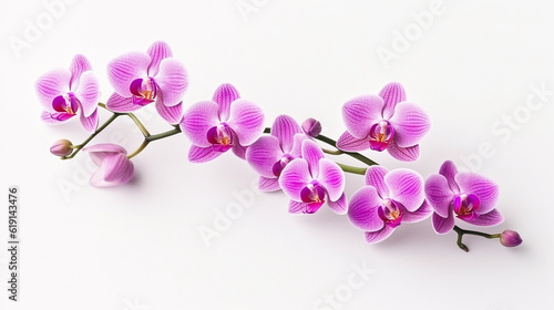 Pink orchid isolated on white background.Generative Ai.