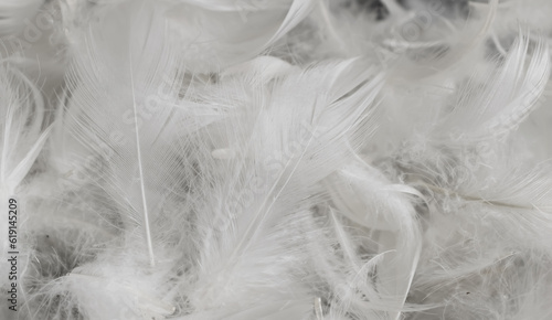 nice white duck feathers. background or texture