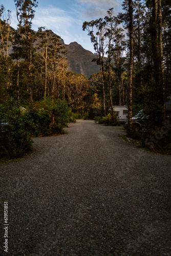 autumn in the forest