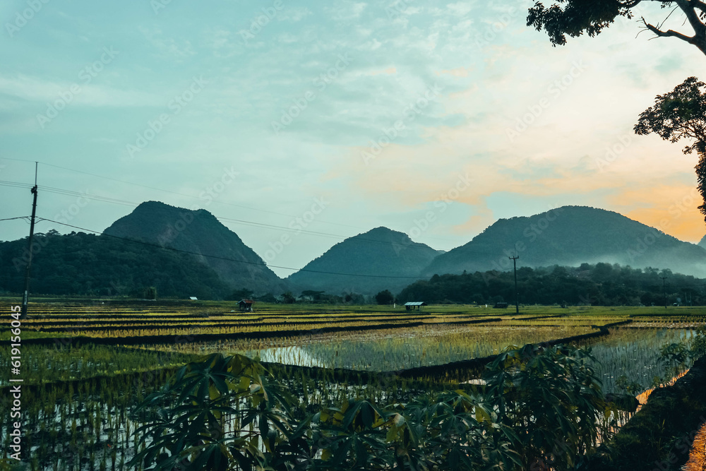 Obraz premium natural scenery in Indonesia with a view of mountains, hills, rice fields which are very green and sunset in the afternoon