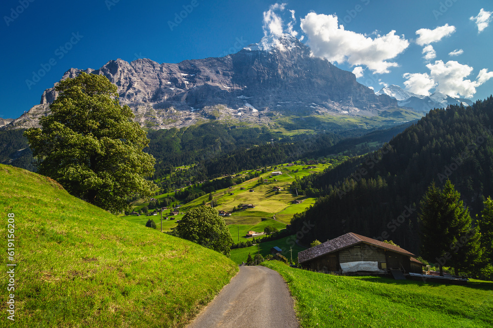 Rural road on the slope in the Alps, Grindelwald, Switzerland