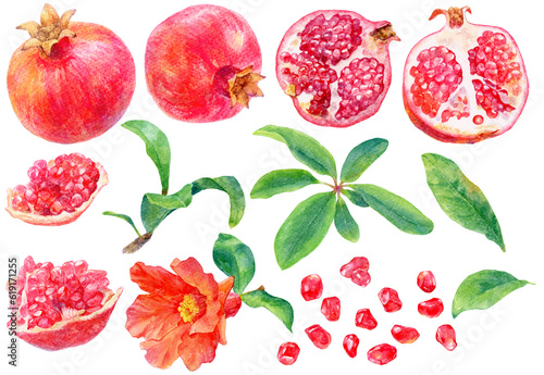 ザクロの水彩画イラスト　ザクロの実・葉・枝・花　素材集