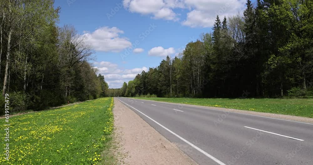 paved road in the countryside in the spring forest, paved highway in the spring season through the forest paved road in the countryside in the spring forest, paved highway in the spring season through the forest