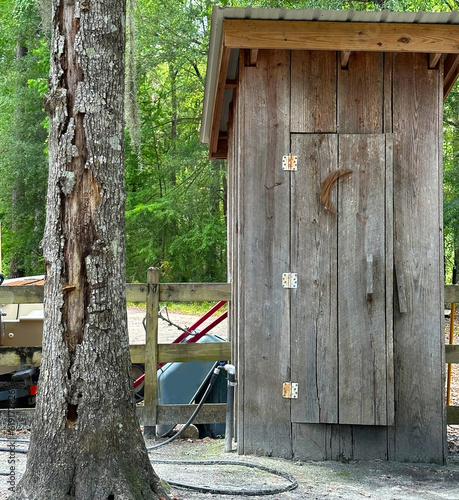 A small, wooden outhouse stands next to a tall, bare tree trunk.