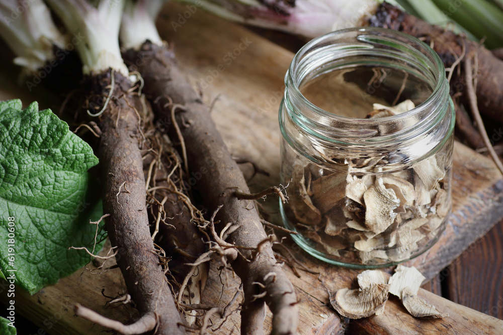 Φωτογραφία Healthy dry burdock root in a glass jar and fresh plant leaves on cutting board