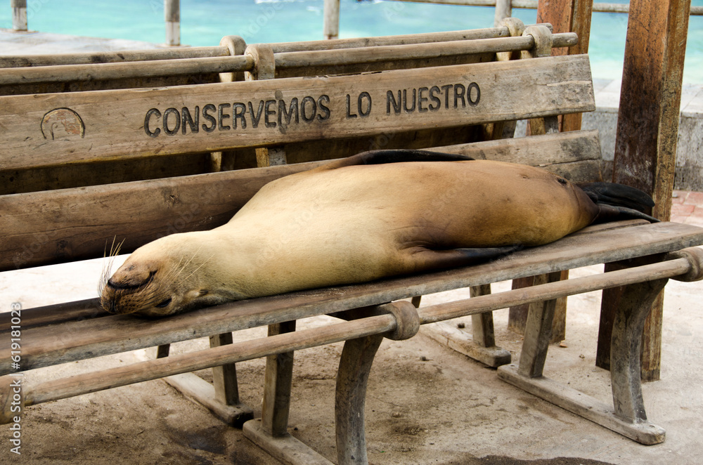 Fototapeta premium Conservemos lo nuestro