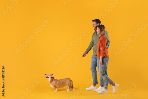 Full length profile shot of man and woman walking with their corgi dog isolated on yellow studio background, side view, free space photo