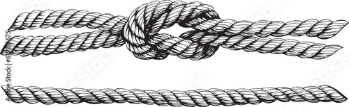 Set of knotted ropes realistic cords knot in vector. Nautical thread whipcord with loops and noose. Twisted, braided, folded, spiral fiber. Illustration hand drawn black graphic isolated background.