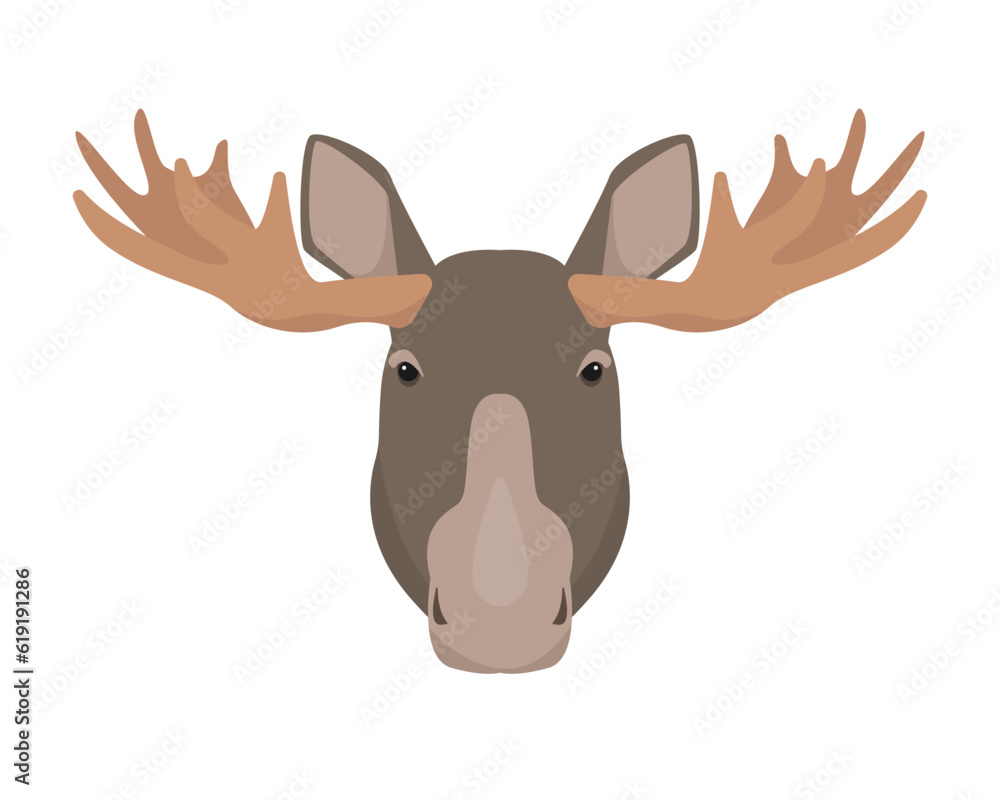 Moose bull or Elk head. Brown wild forest animal elk face with big horns. Flat vector moose icon illustration isolated on white background. Moose bull or Elk head. Brown wild forest animal elk face with big horns. Flat vector moose icon illustration isolated on white background.