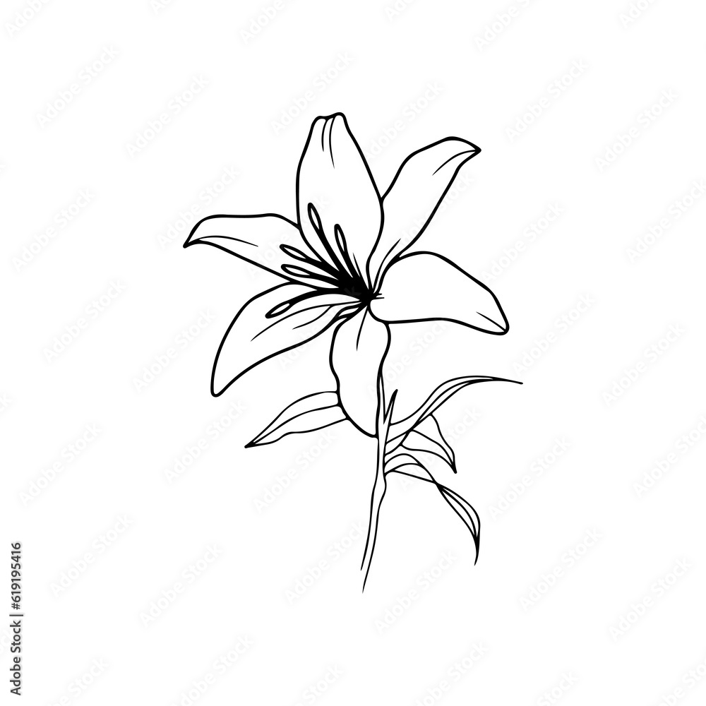 flower illustration vector with concept flower illustration vector with concept