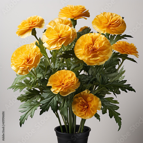 Beautiful bouquet of fresh orange marigold flowers on white background mock-up