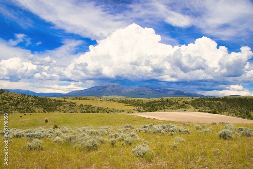 Landscape of large Cumulus clouds gathering above a distant mountain on a Summer day as viewed from beyond a field and rolling green hills near Townsend  Montana  USA.