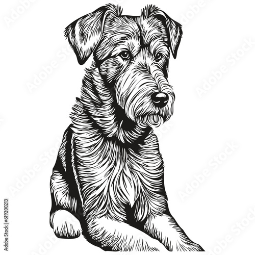 Airedale Terrier dog face vector portrait, funny outline pet illustration white background