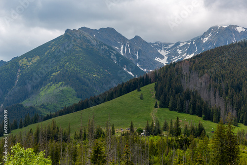 Tatry mountains in summer. View of the mountains covered with forests. Meadow in the mountains.