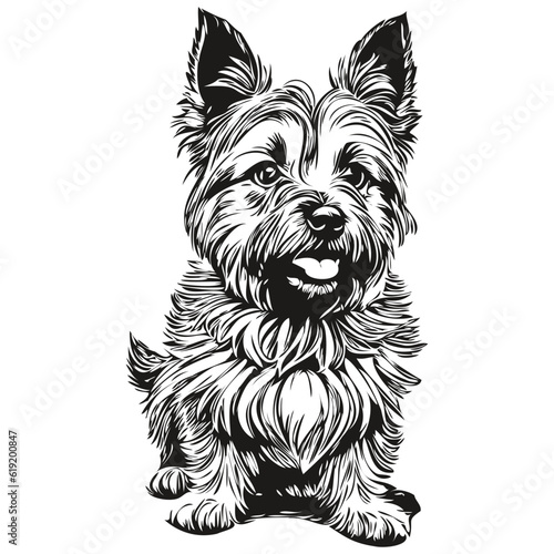 Cairn Terrier dog isolated drawing on white background  head pet line illustration realistic breed pet