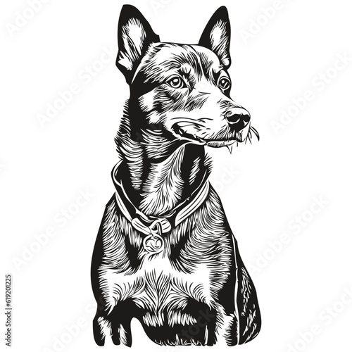 Manchester Terrier dog hand drawn logo drawing black and white line art pets illustration