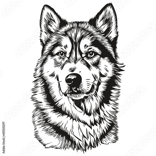 Malamute dog cartoon face ink portrait, black and white sketch drawing, tshirt print realistic breed pet