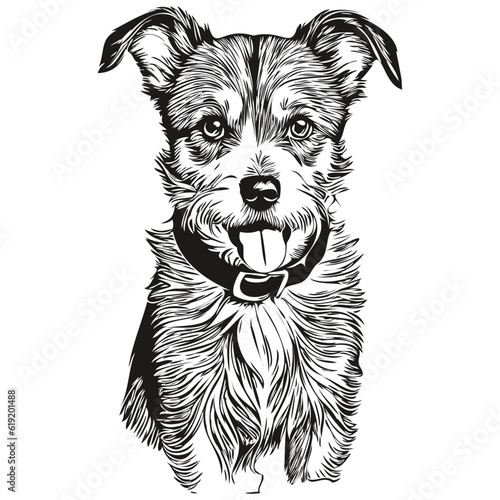 Parson Russell Terrier dog breed line drawing, clip art animal hand drawing vector black and white