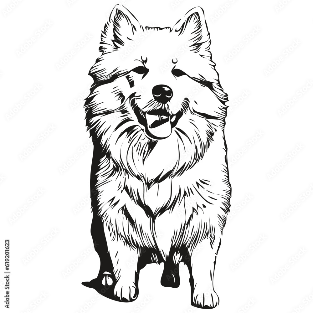 Samoyed dog face vector portrait, funny outline pet illustration white background Samoyed dog face vector portrait, funny outline pet illustration white background