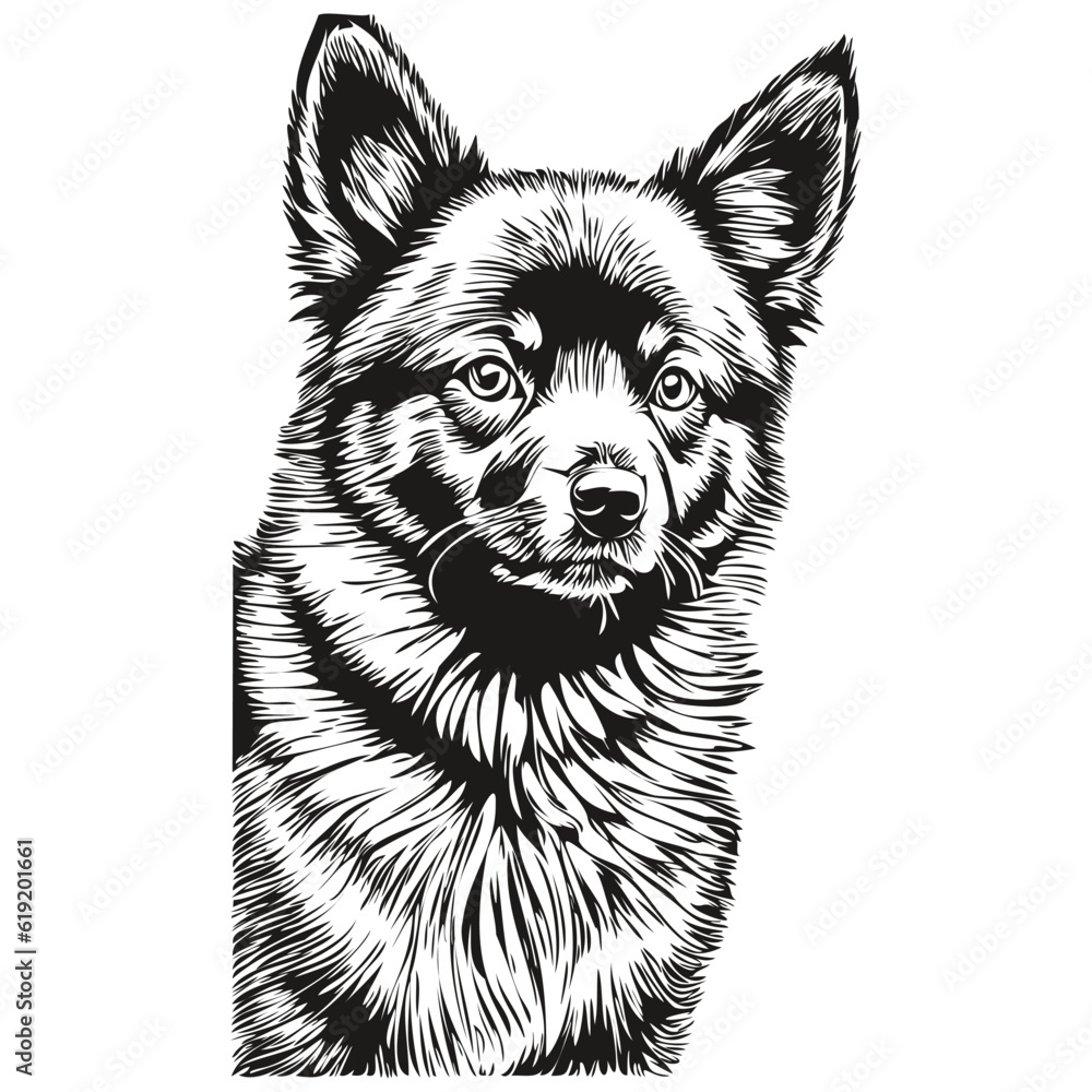 Schipperke dog ink sketch drawing, vintage tattoo or t shirt print black and white vector sketch drawing